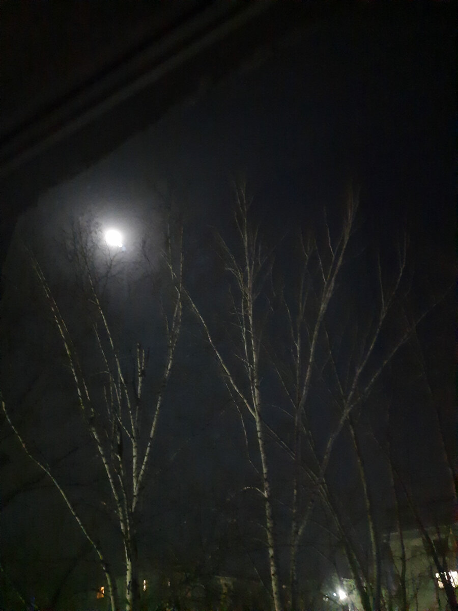 полнолуние, может, влияет? 