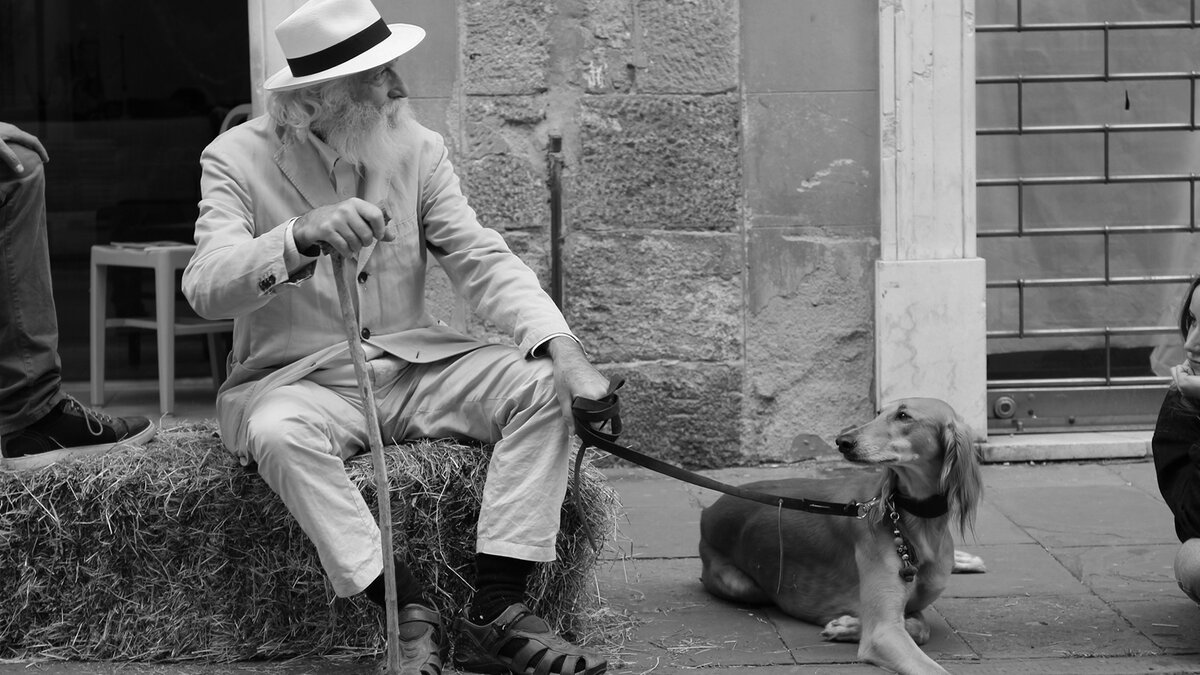 Только вы сами можете ответить на вопрос, не слишком ли вы стары для того, чтобы завести щенка. Фото Mandy Henry/Unsplash