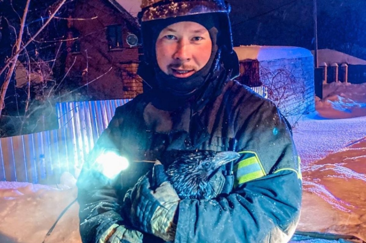 Сон пожарники. Сон пожарники. Карикатуры на спящих пожарных. Сон пожарники. Сон пожарники.