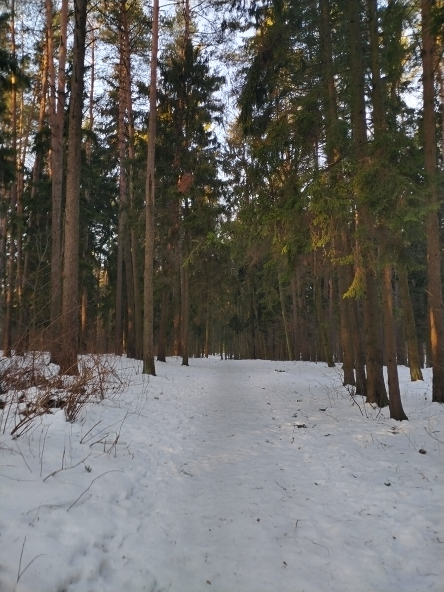 Природа, наконец то