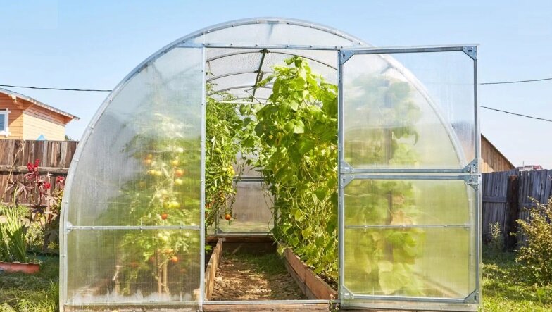 Готовим теплицу к посадке. 4 простых шага.