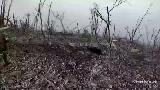 русские солдаты на украине. российский солдат. морская пехота крым. морпехи под угледаром. военная спецоперация.