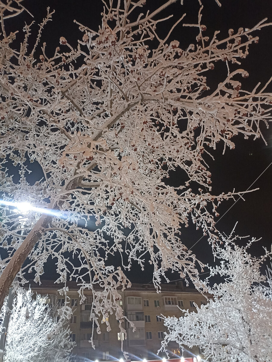 Даже фото свежих нет. Пускай будет зима, которая до жути надоела 