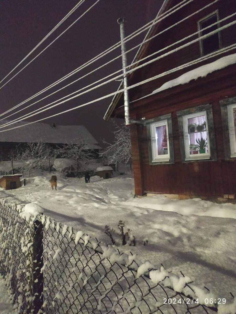 Рыжик и Майка