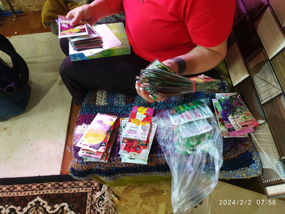 запасы семян