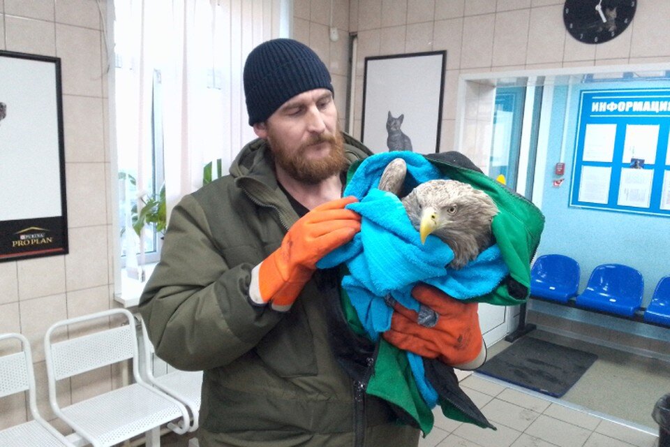 Региональный оператор по обращению с тко. Обращение с тко в ленинградской области. Региональный оператор новокузнецк приказ. Ооо эко транспорт. Региональный оператор сколково.