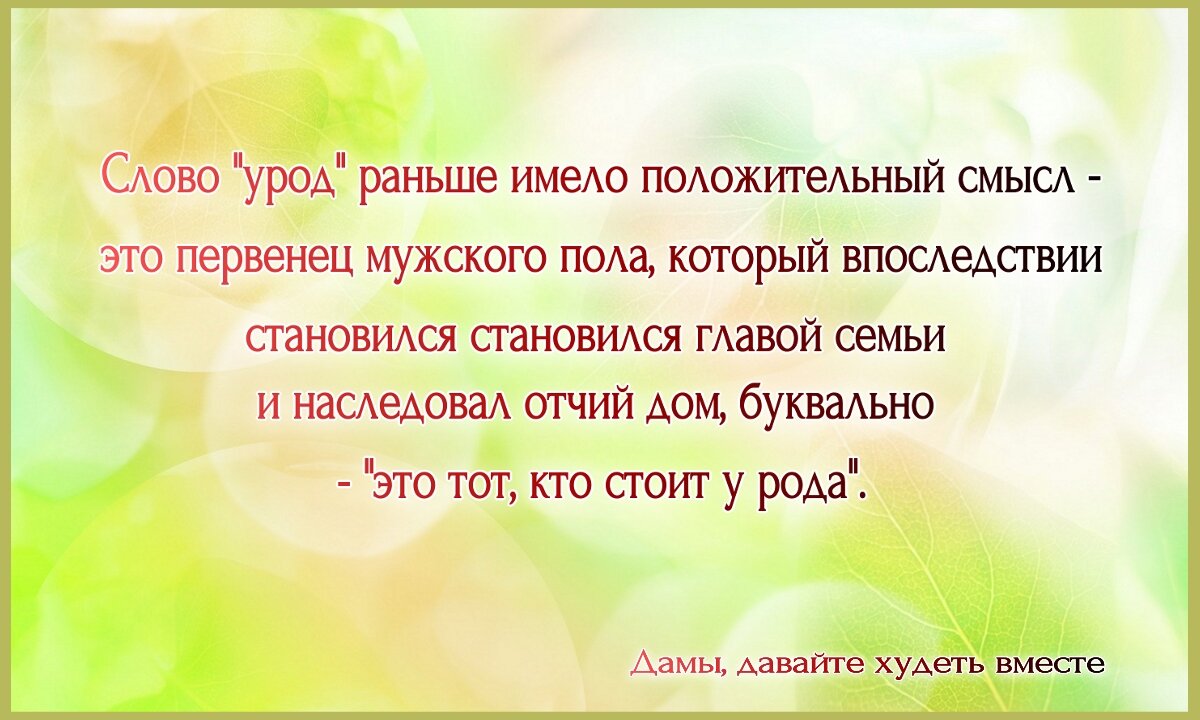 Какой разгрузочный день выбрать при похудении и как это сделать правильно.  Марафон снижения веса 