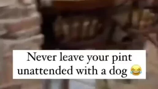 Папа алкаш. Алкаш в горах. Горе в семье. Алкаш в горах. Котик алкаш.