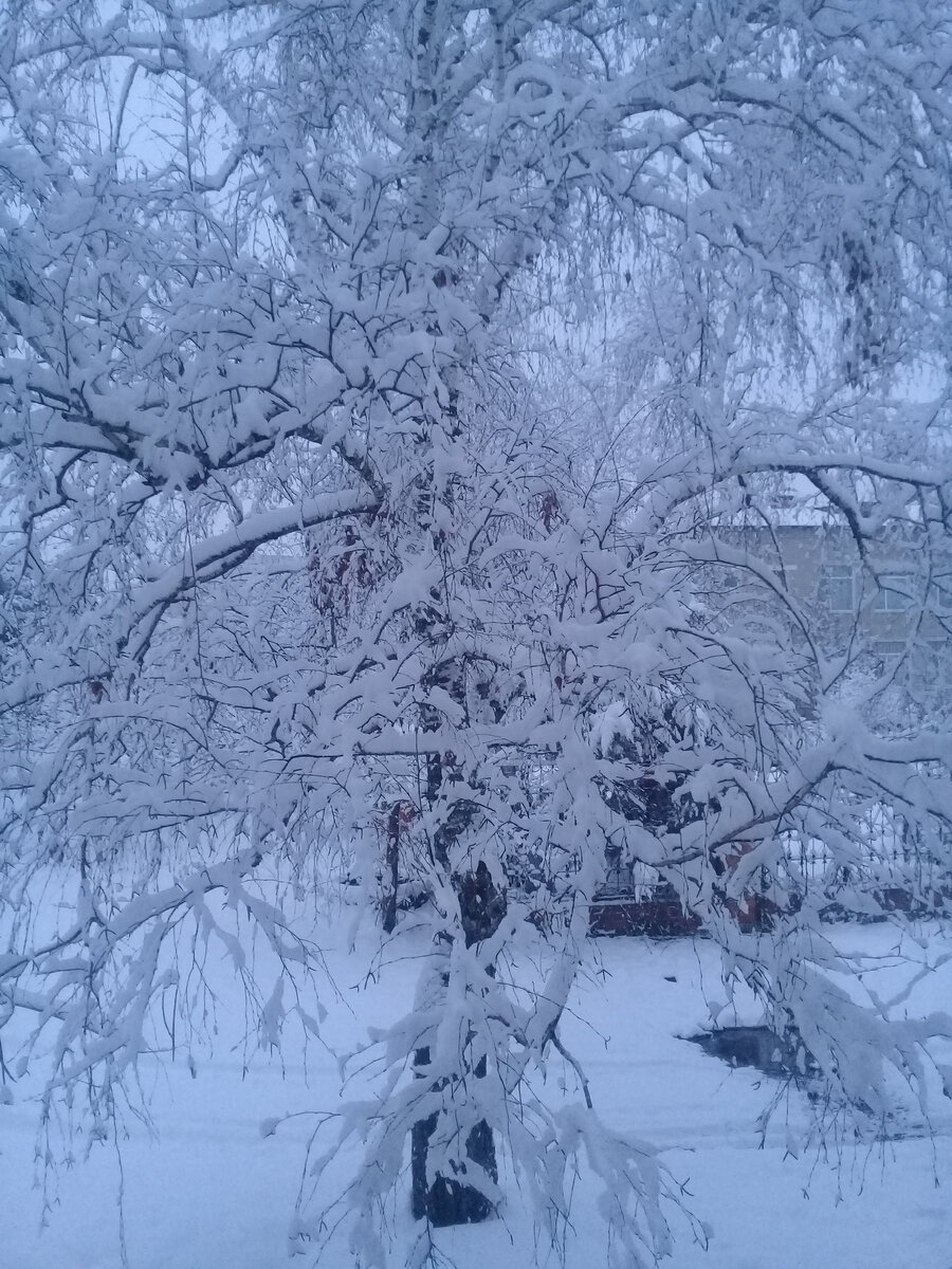 Вид на школу из моего окна) 