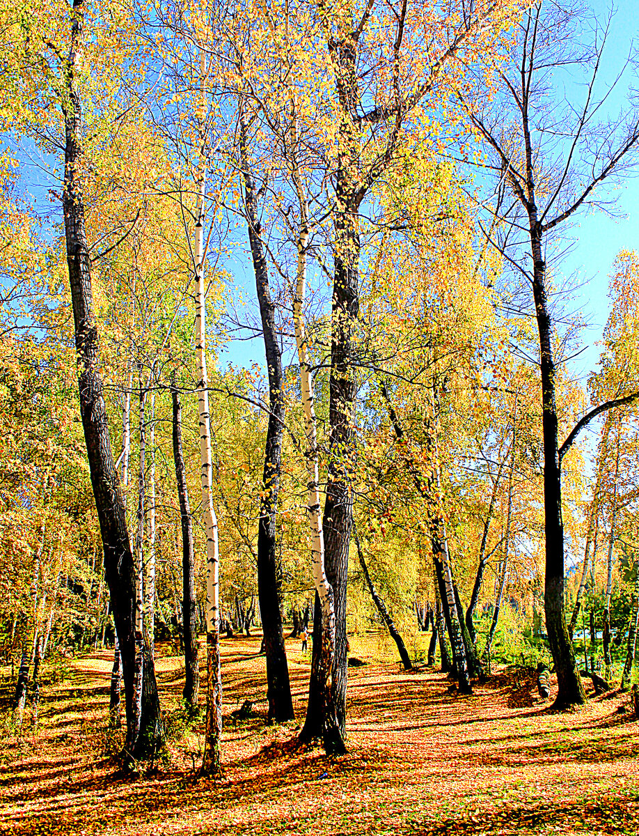Фотография, стихотворение Василия Глуцкого