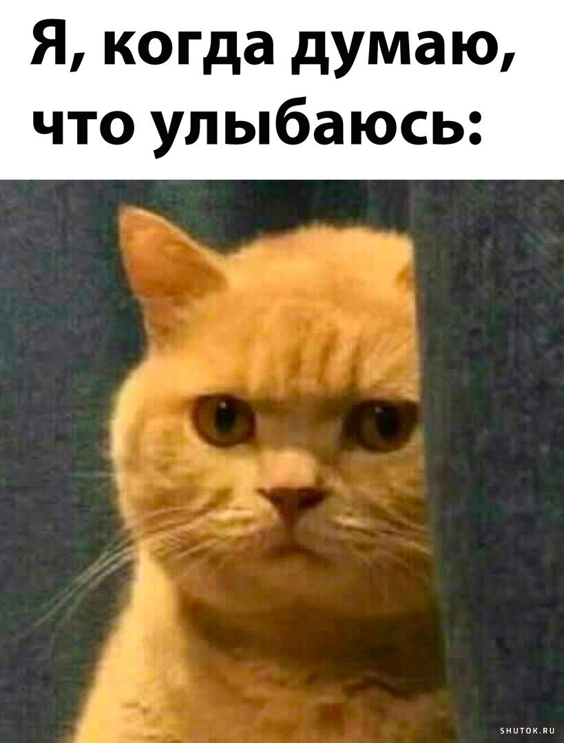 Я замечаю других девушек