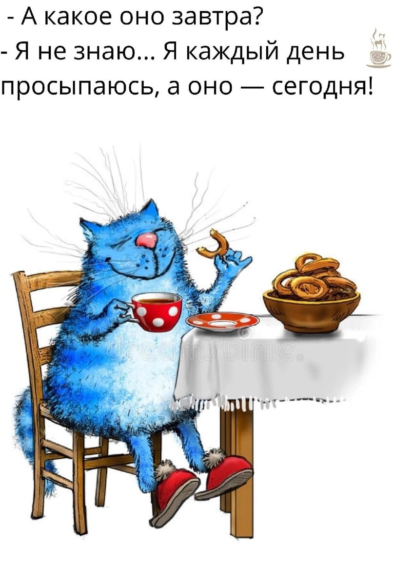 Доброе утро вредина картинки прикольные смешные Кошачий юмор: самые смешные фото ваших любимых питомцев Все про кошек и много ин