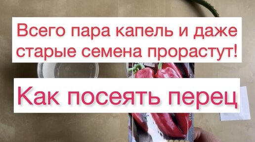 Болгарский Перец Порно Видео