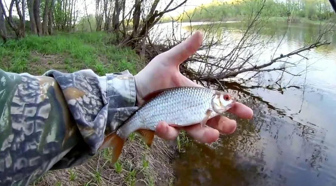Эссе на тему честь. Почему не применимы. Границы применения классической механики. Почему не применимы. Дайте определение понятию.
