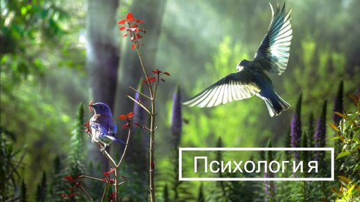 гармоничные звуки. музыкальный пейзаж. гармоничные звуки. сказочная весна. музыкальное настроение.