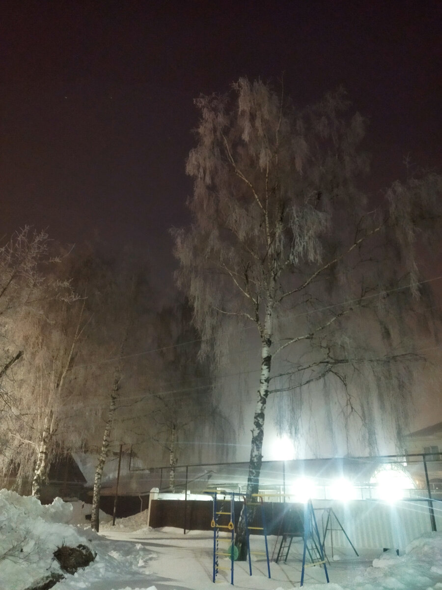 Туман осаждает на ветки влагу и она замерзает красивой пушистой шубой