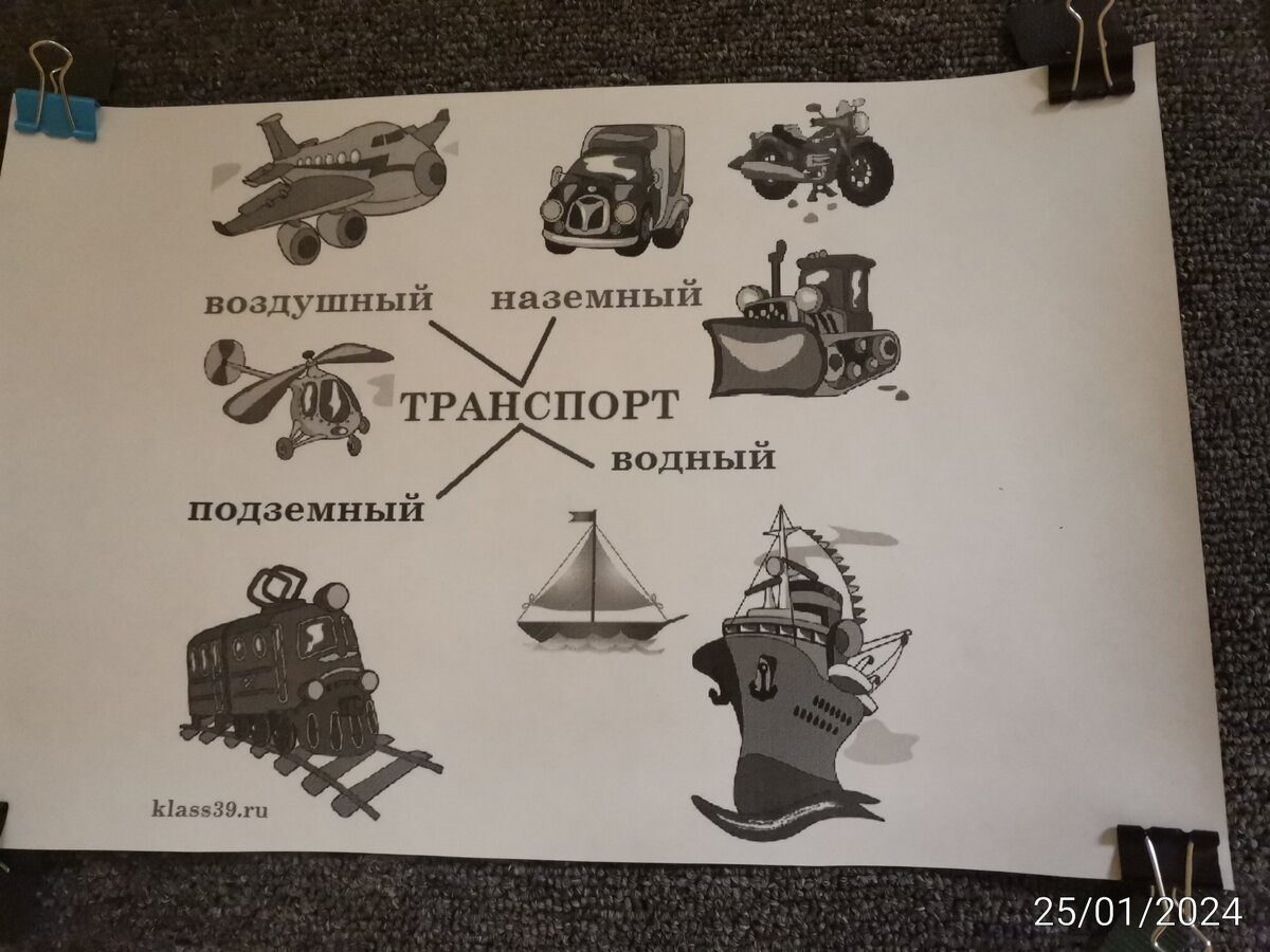 Виды транспорта