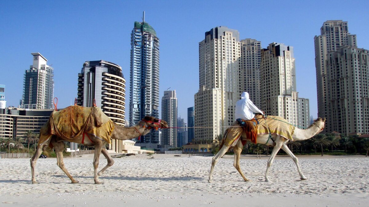 Арабские страны путешествия. Объединённые арабские эмираты. Арабские эмираты Дубай. Абу Даби жители. Население Абу Даби.