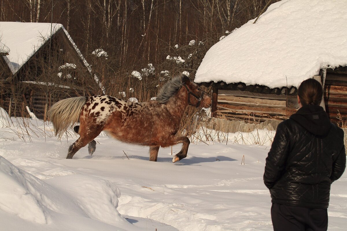 Покупки фото. Покупатели в магазине одежды. Erp поступление товаров и услуг. Картинка шопинга красивая. Девушка с пакетами.