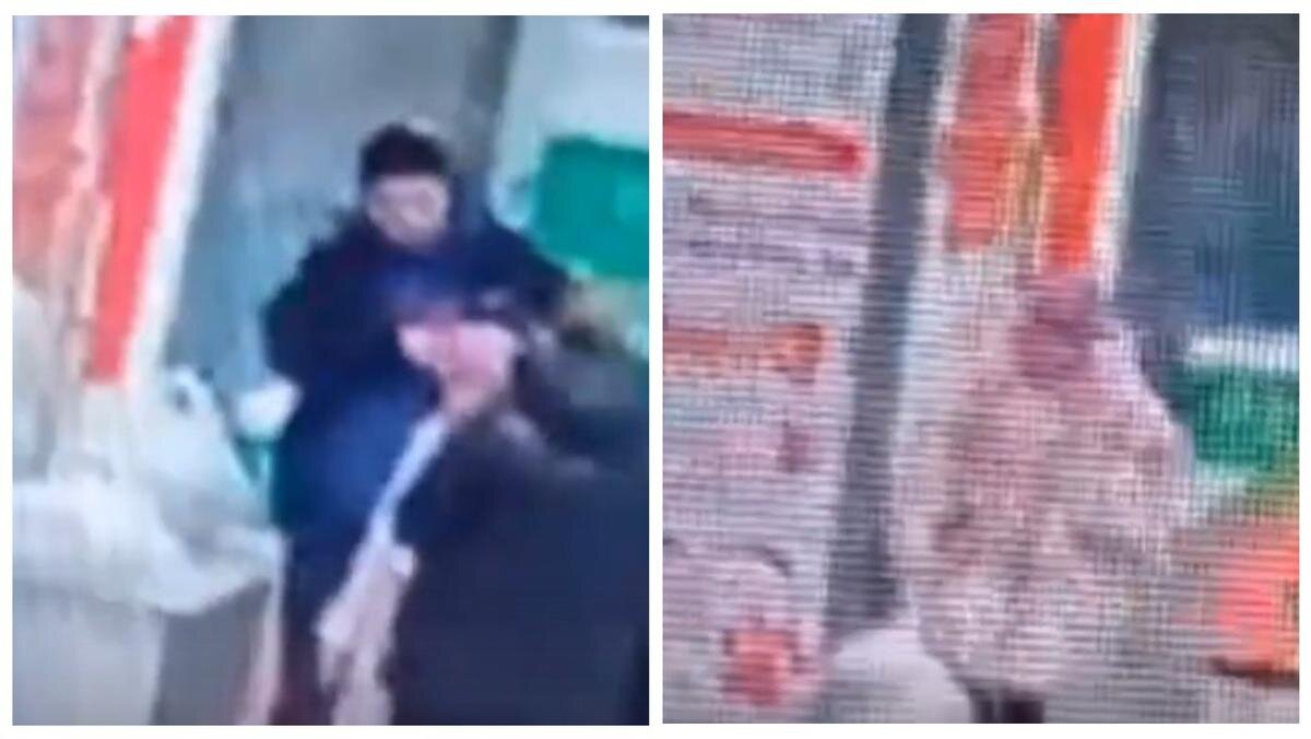 Твоя подруга в сибири дзен