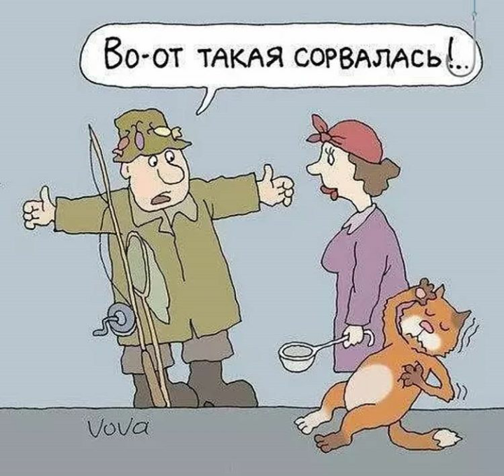 карикатура Владимира Иванова (яндекс-картинки)