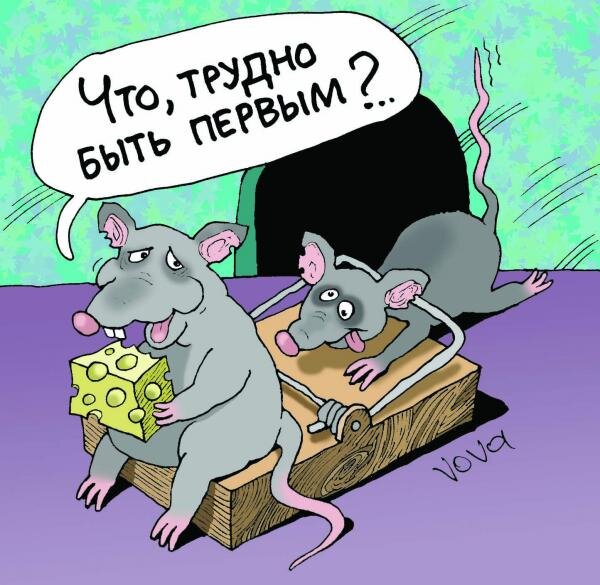 карикатура Владимира Иванова (яндекс-картинки)