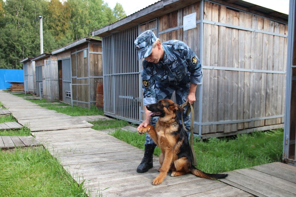 тактическая подготовка сотрудников овд. служебная подготовка сотрудников. физическая подготовка сотрудников полиции. коллектив правоохранительных органов. служебная подготовка сотрудников.