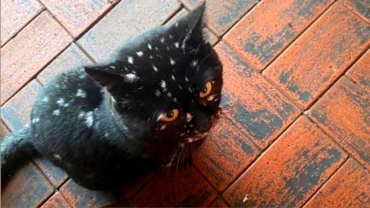 Счастливые пары. Люблю тебя даша. Как выглядит моя любимая. Пары влюбленных. Обнимает девушку.