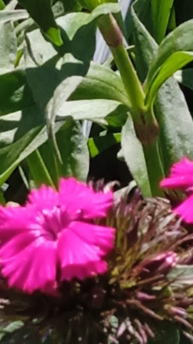 Фото из личного архива 