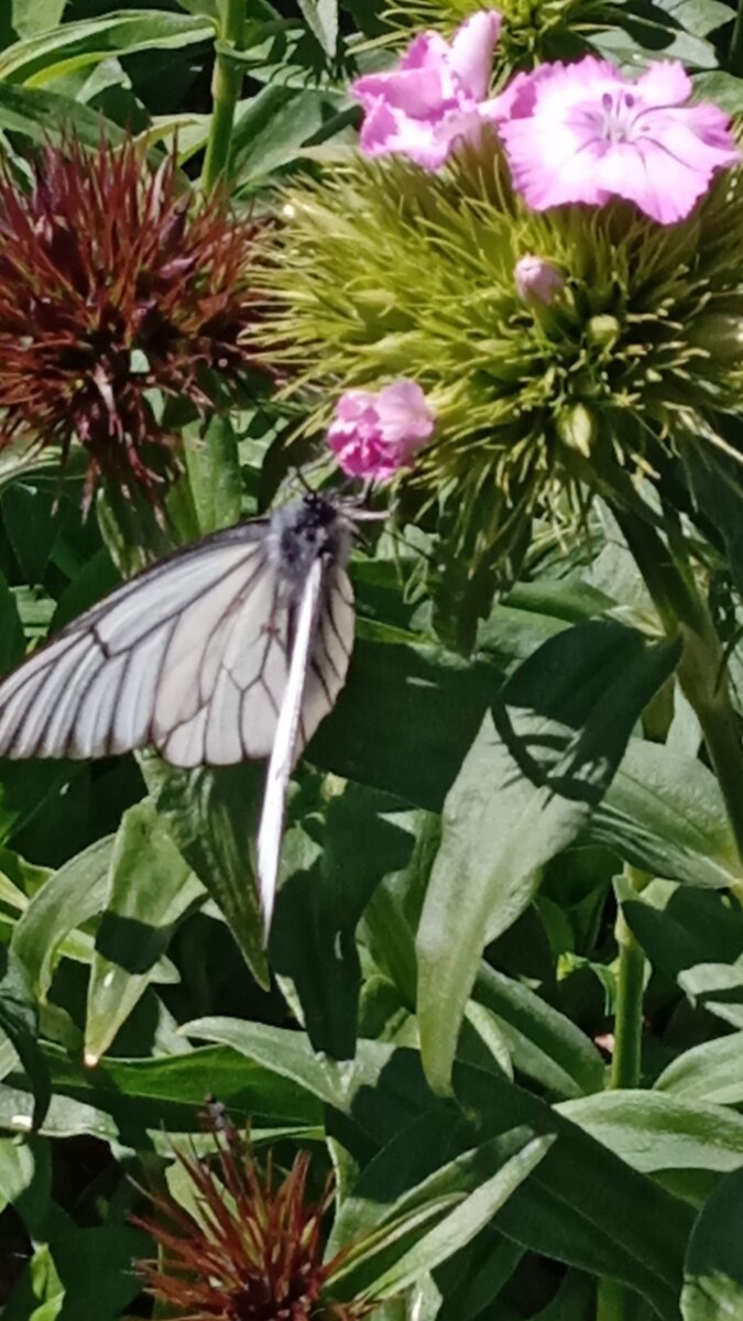 Фото из личного архива автора. 