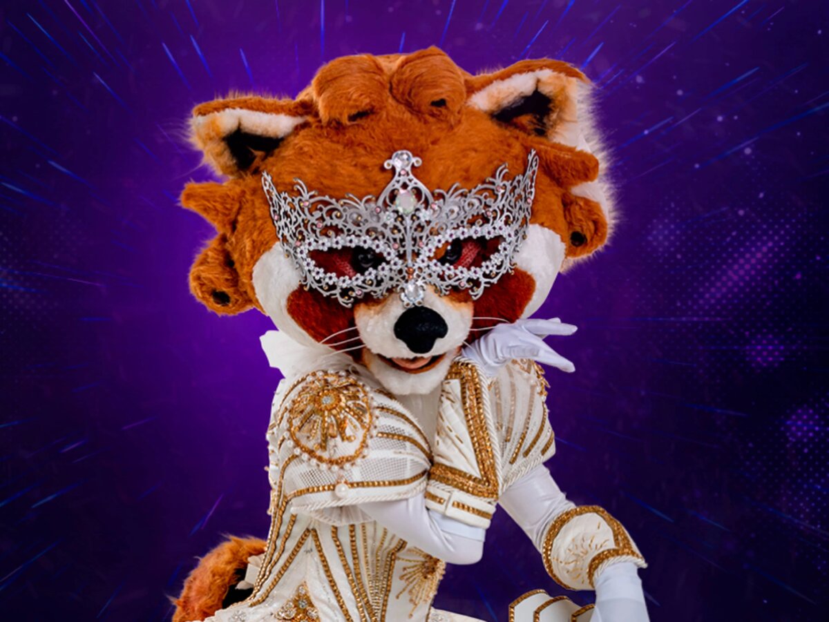 Музтальгия маска. The masked Singer Raccoon. The masked Singer Racoon.