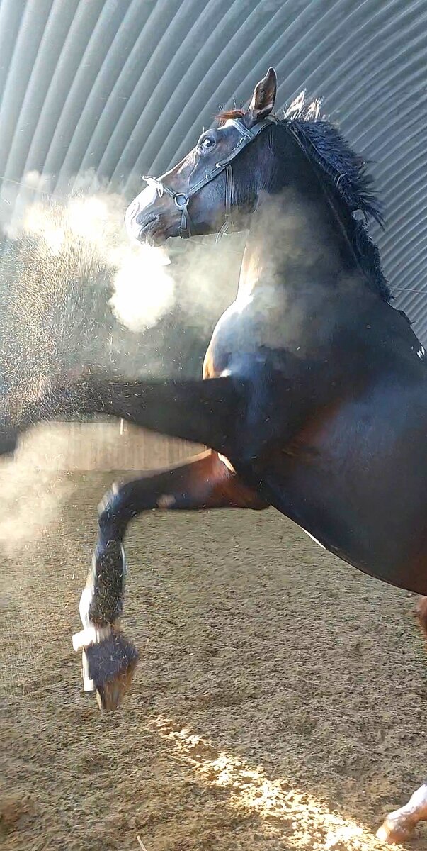 Все бегут. Стихи про забег. Девушка с чемоданом на дороге. Доброе утро команда. Беги куда хочешь.