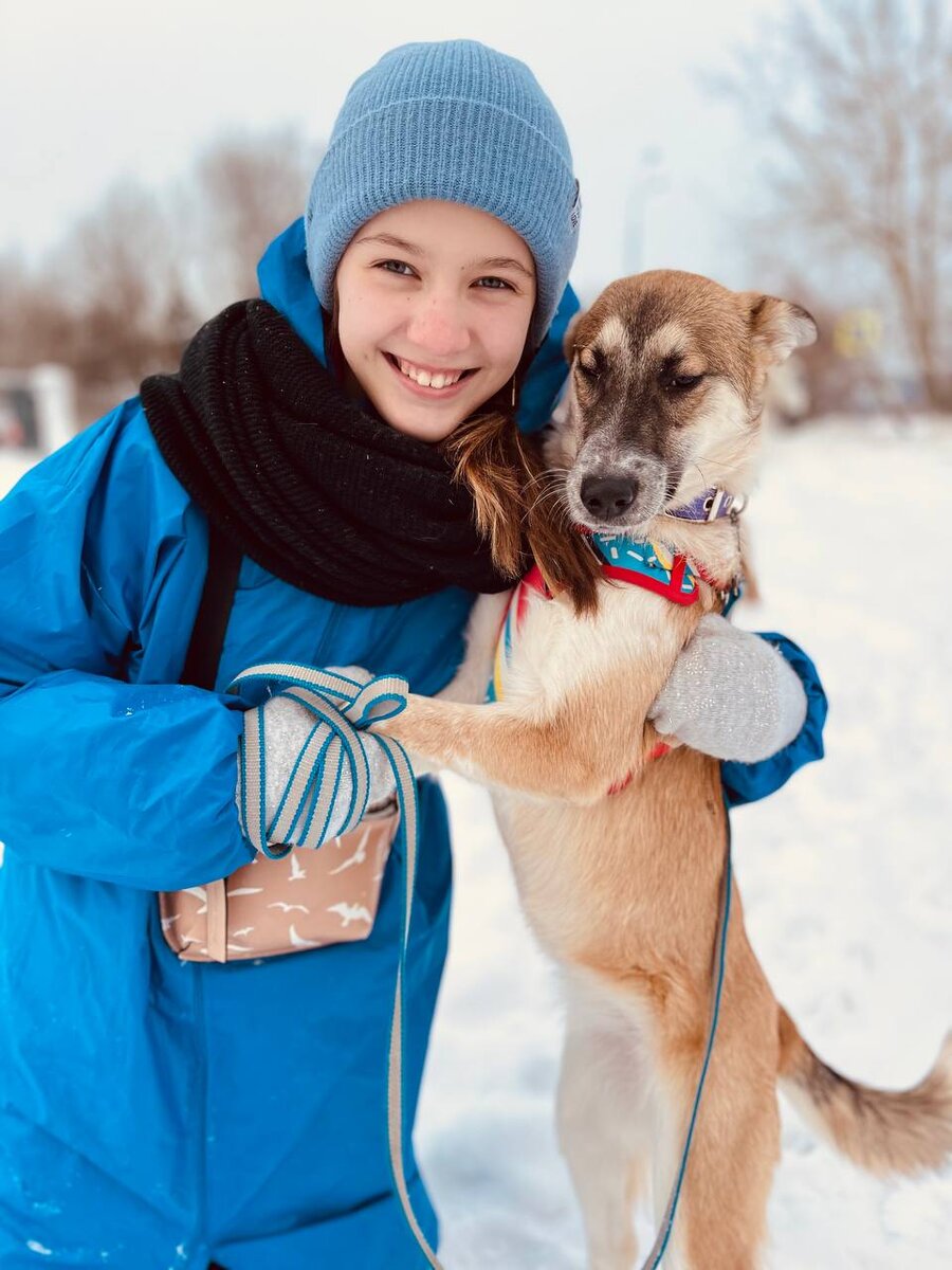 Волонтеры с собаками. Приют для животных йошкар-ола. Ханты мансийск "приют для животных без владельцев "велес". Волонтеры в приюте для животных. Волонтеры в приюте для животных.