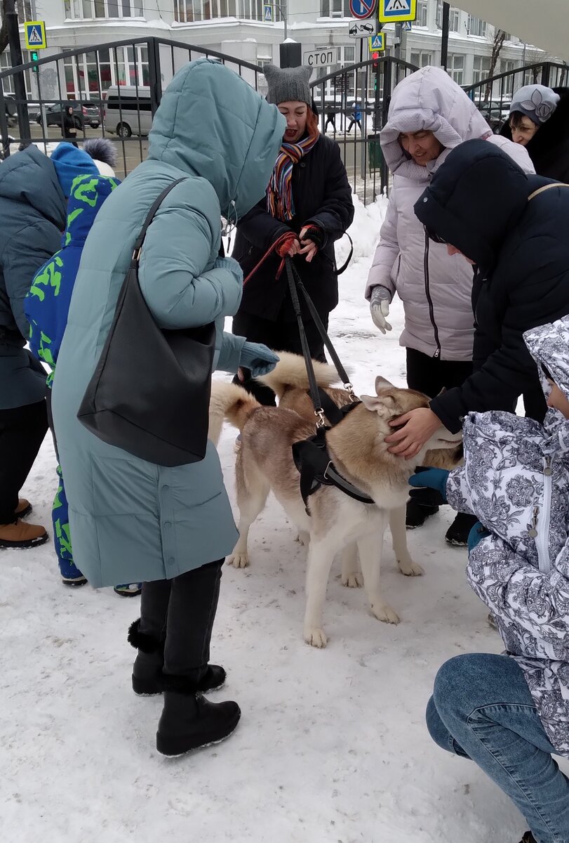 Встреча с Хаски в Струковском саду. Самара зима 2024