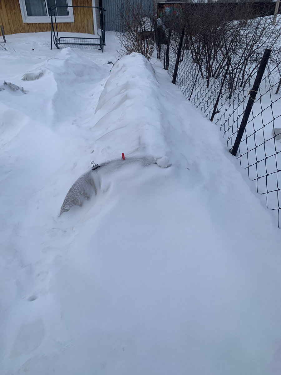 снег укрывший и лес. укрытие деревьев снегом. снег укрывший и лес. лес укрывает снегом. зимой в лесу.