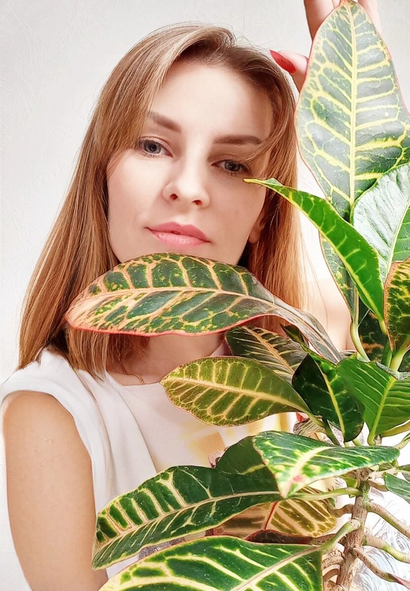 Даже фотография на эту тему есть. Не совсем уж свежая,  конечно. 