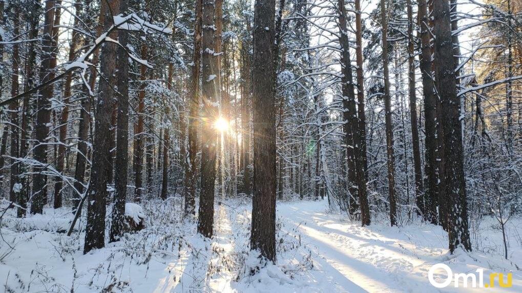 гидрометцентр. почасовой прогноз погоды. погода в можайске на неделю. площадь ленина ирбит. прогноз погоды в ирбите на неделю.