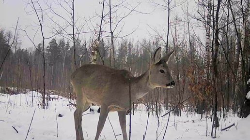 сложно достать. душевный человек. человек на работе. отцы и дети. фон инструменты.