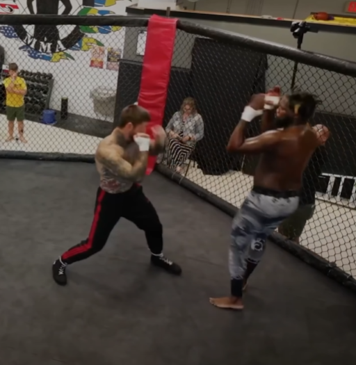 Alex im. Стив для анимации аниме. Майнкрафт steve im stuck. Alex im. Алекс майнкрафт im stuck.