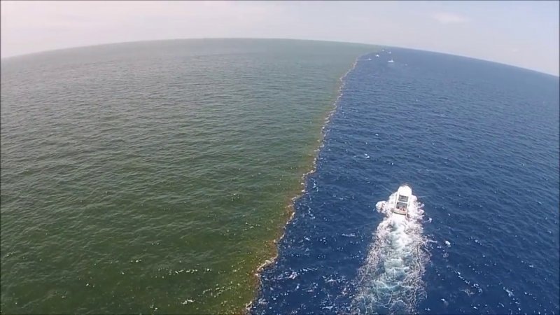 Черное море vs Азовское море: идеальное место для семейного отдыха
