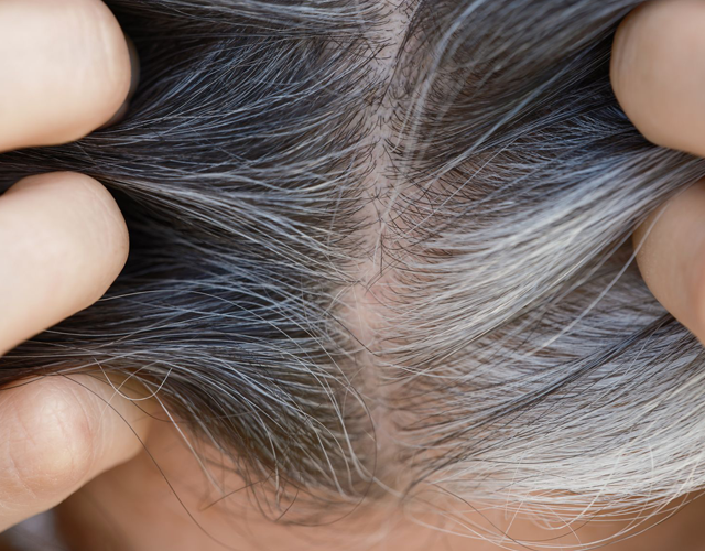 седые волосы. возможно ли поседеть. преждевременное поседение волос. закрашивание седины. ранняя седина.
