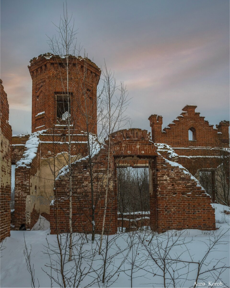 Генералиссимус дзен