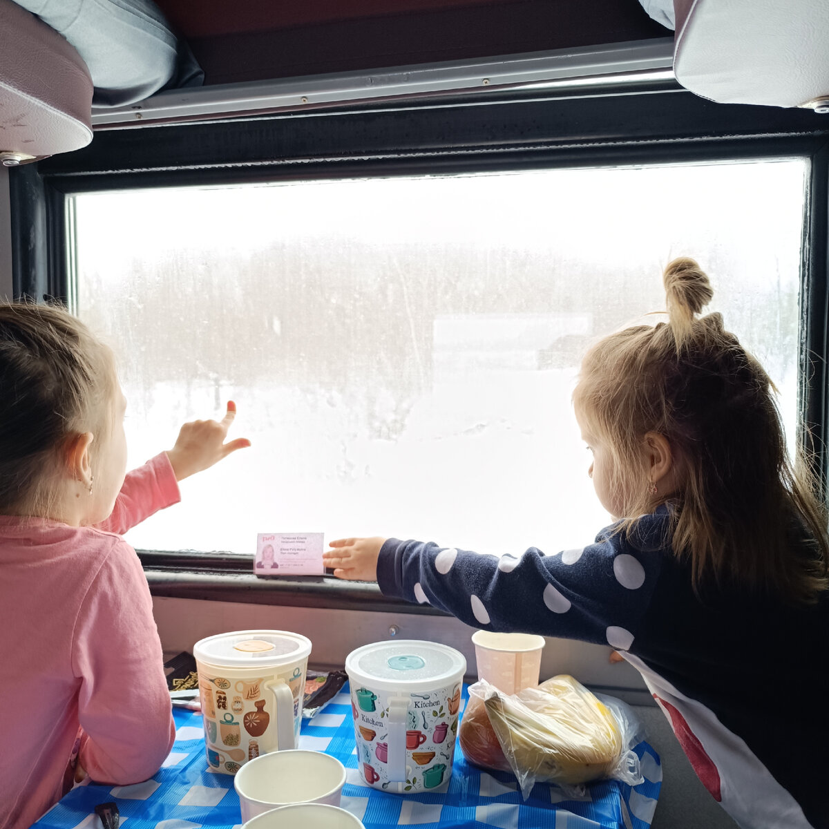 Смотрят в окошко, кругом бело! 