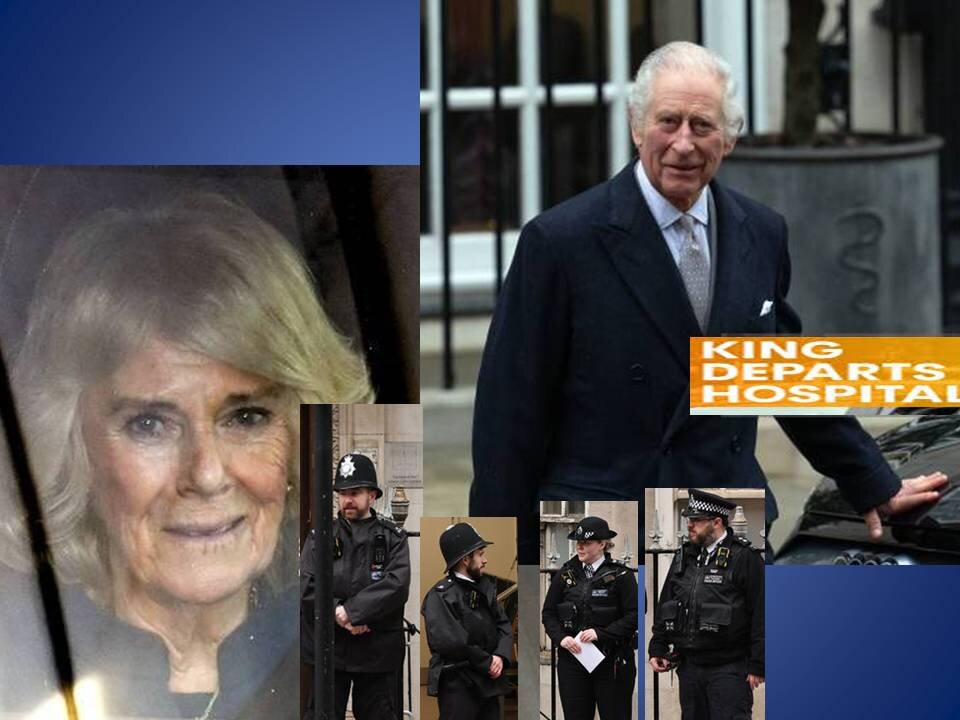 Ротшильды семья. Элита семьи. Элита семьи. Ротшильды (династия). Элизабет хёрли в сериале члены королевской семьи.