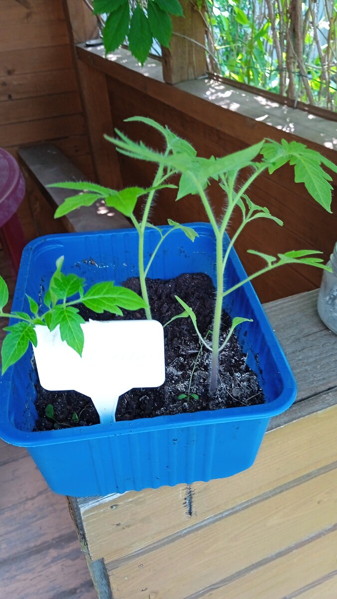 Скоро опять... 