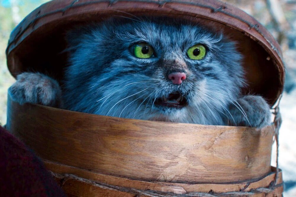 русская народная сказка емеля. по щучьему веленью 2023г. по щучьему веленью 2023г. никита кологривый емеля. никита кологривый по щучьему велению.