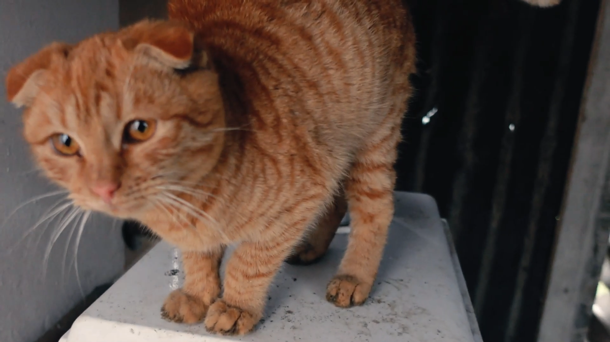 Дед мороз пришел. Морозы когда нибудь будут когда. Приколы про мороз на улице. Романтичная зима. Цитаты про мороз.