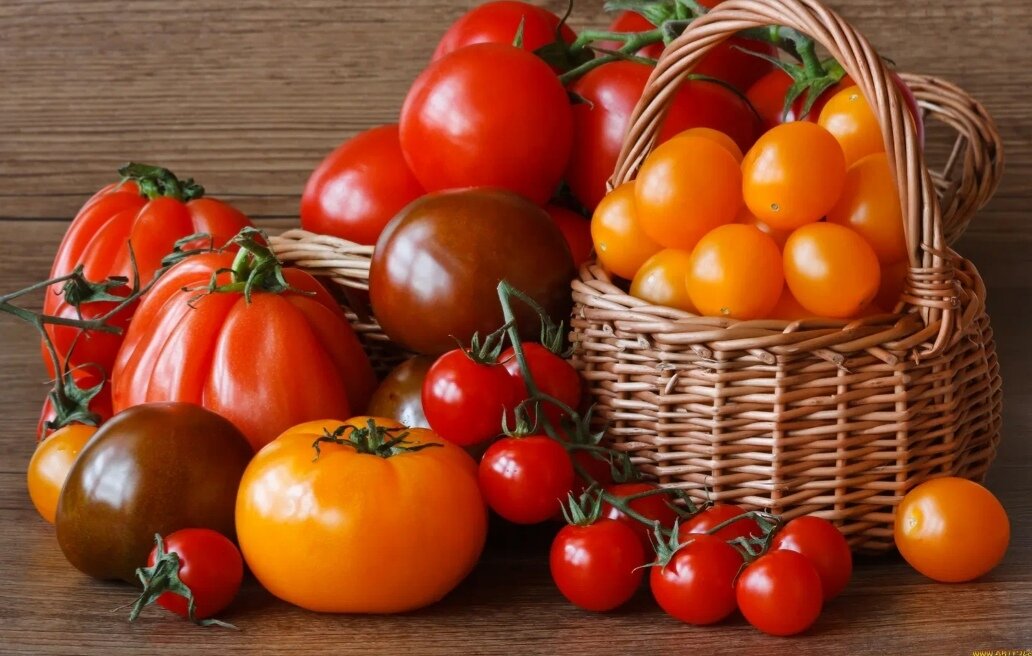 томат таунсвиль f1. томат третьяковский f1 описание сорта. томат интуиция f1 12шт гавриш. помидоры дачник описание сорта. томат марьина роща f1.