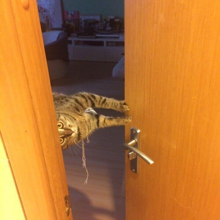 Человек за дверью. Человек придерживает дверь. Бывший стоит под дверью. Человек у двери. Взрослый за дверью.