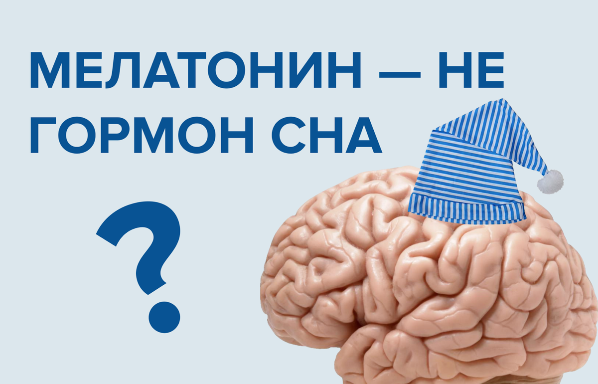 Мелатонин — о работе сложного гормона простым языком | SARMA, фабрика  матрасов и мебели | Дзен